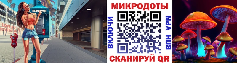 как найти наркотики  Любань  Псилоцибиновые грибы Psilocybine cubensis 